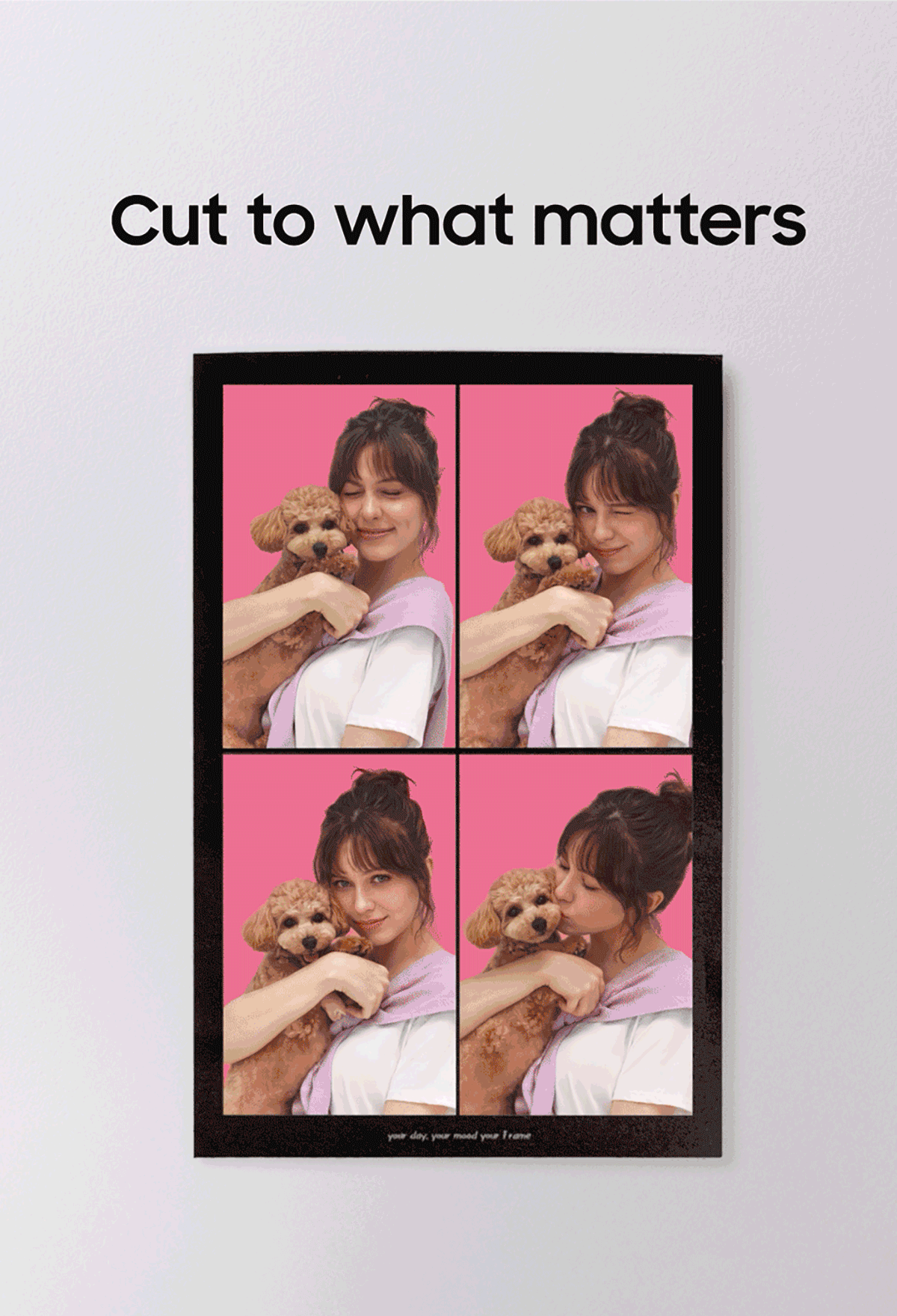Cut to what matters | A whole new slice | Snapplay