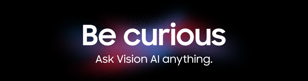 Be curious. | Ask Vision AI anything.