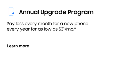 Annual Upgrade Program